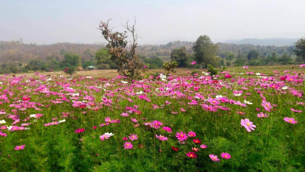 Phu Pai Art Resort Mae Hong Son Zewnętrze zdjęcie
