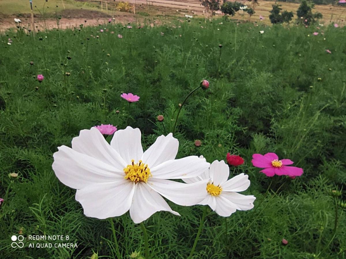 Phu Pai Art Resort Mae Hong Son Zewnętrze zdjęcie